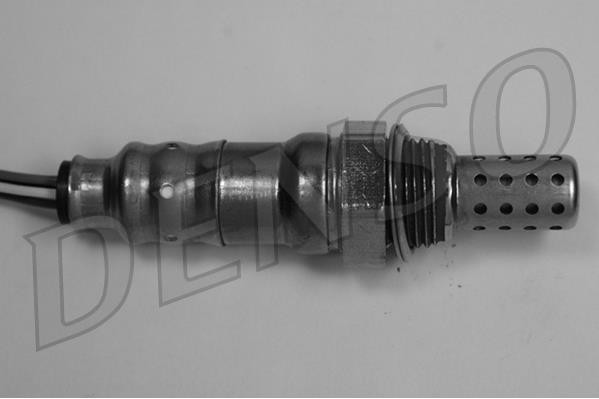 DLS-491