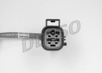 DLS-228
