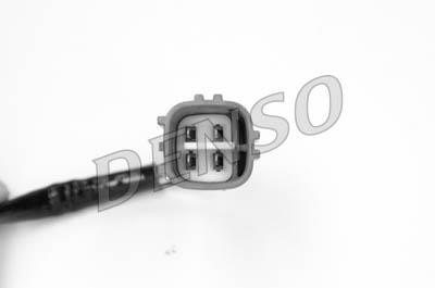 DLS-132
