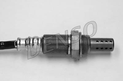 DLS-244
