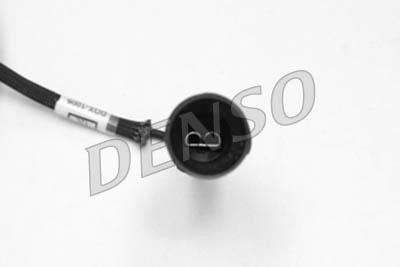 DLS-255