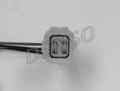 DLS-273