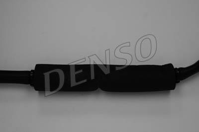 DLS-202