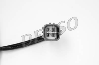 DLS-135