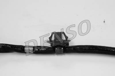 DLS-178