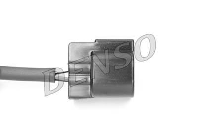 DLS-209