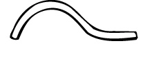 OR-19