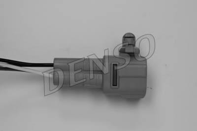 DLS-219