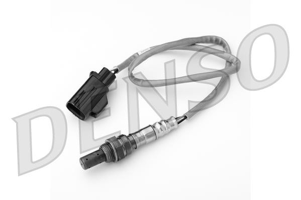 DLS-348