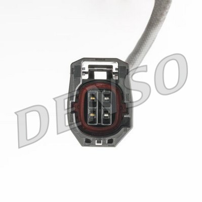 DLS-507