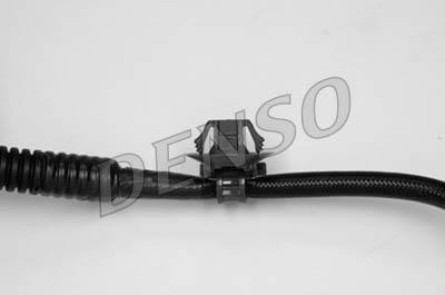 DLS-172