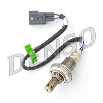 DLS-519