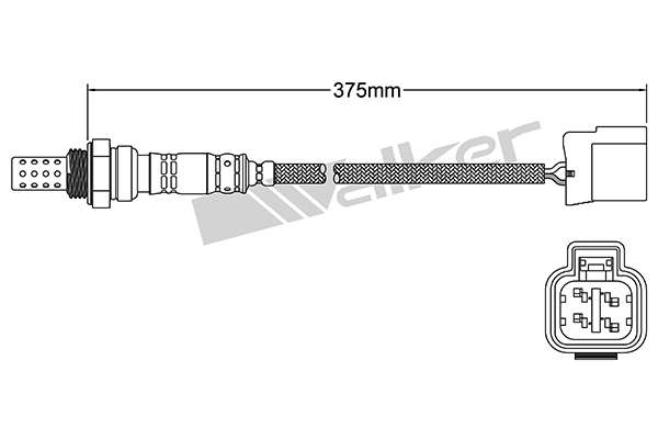 DLS-187