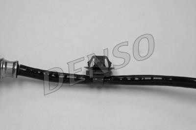 DLS-179