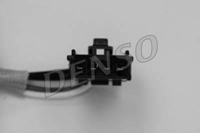 DLS-210