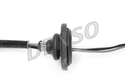 DLS-221