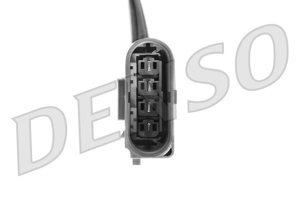 DLS-404