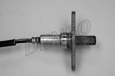 DLS-137