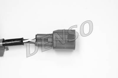 DLS-155