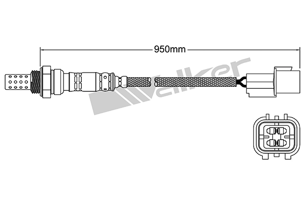 DLS-190