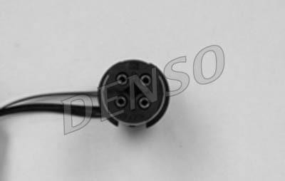 DLS-305
