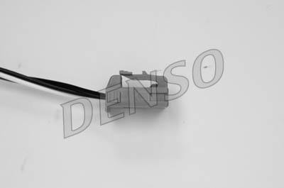 DLS-173