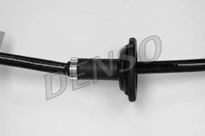 DLS-168