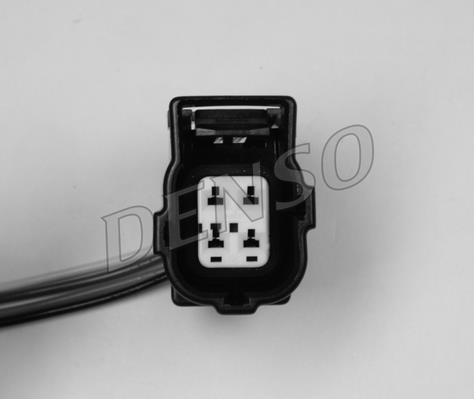 DLS-448