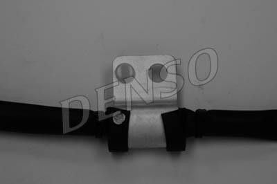 DLS-196