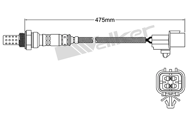 DLS-362