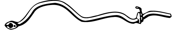 MZR-40