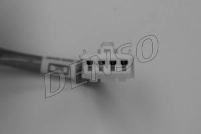 DLS-216
