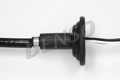DLS-177