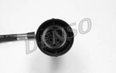 DLS-304