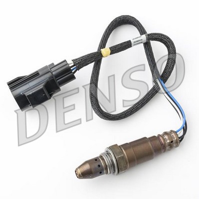 DLS-513