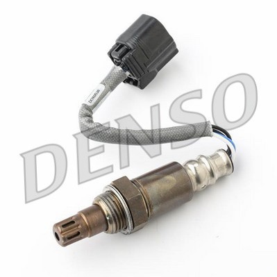 DLS-516