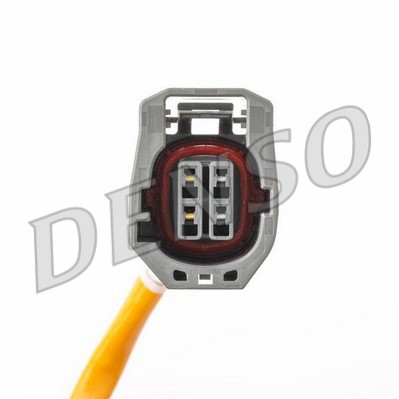 DLS-517