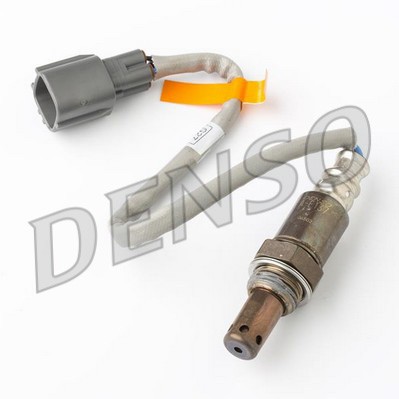 DLS-501