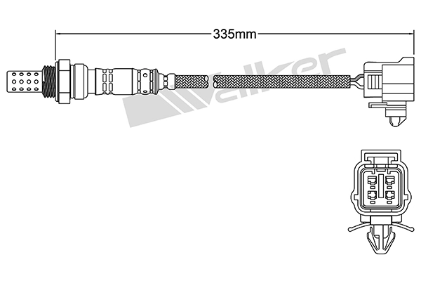 DLS-194