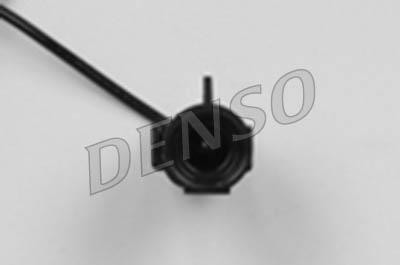DLS-251