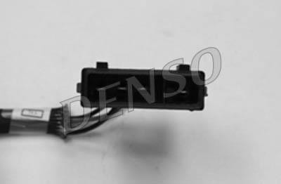 DLS-293