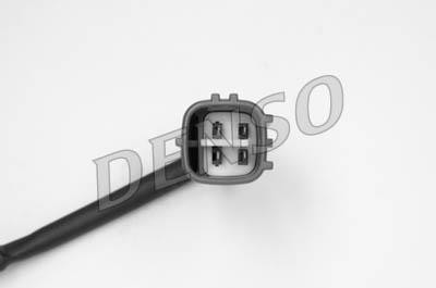 DLS-138