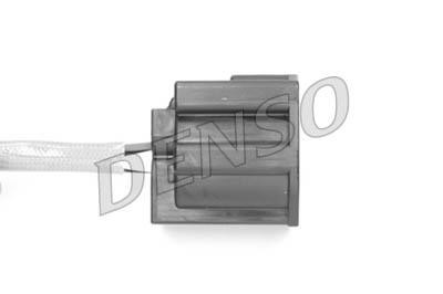 DLS-204
