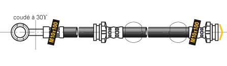 F6466