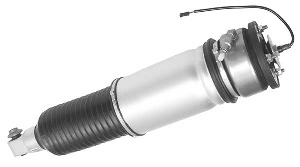 AMP3007