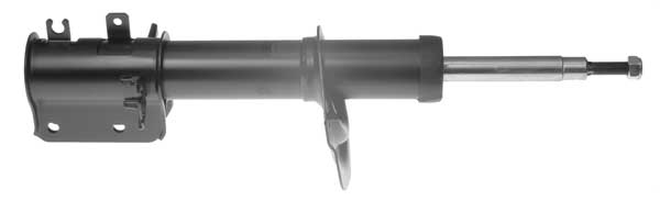 AM5595