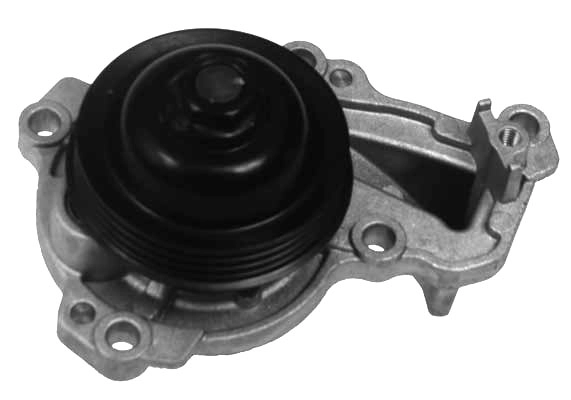 W1239