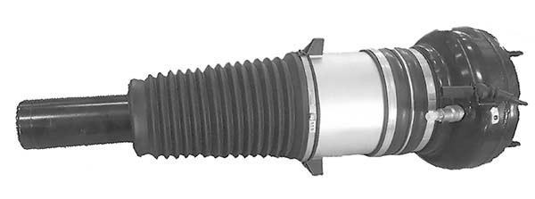 AMP3004