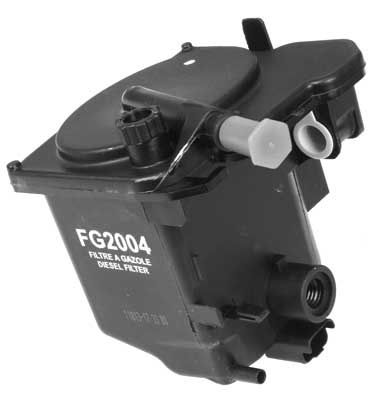 FG2004
