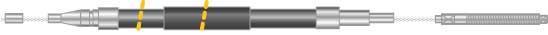 CF5584